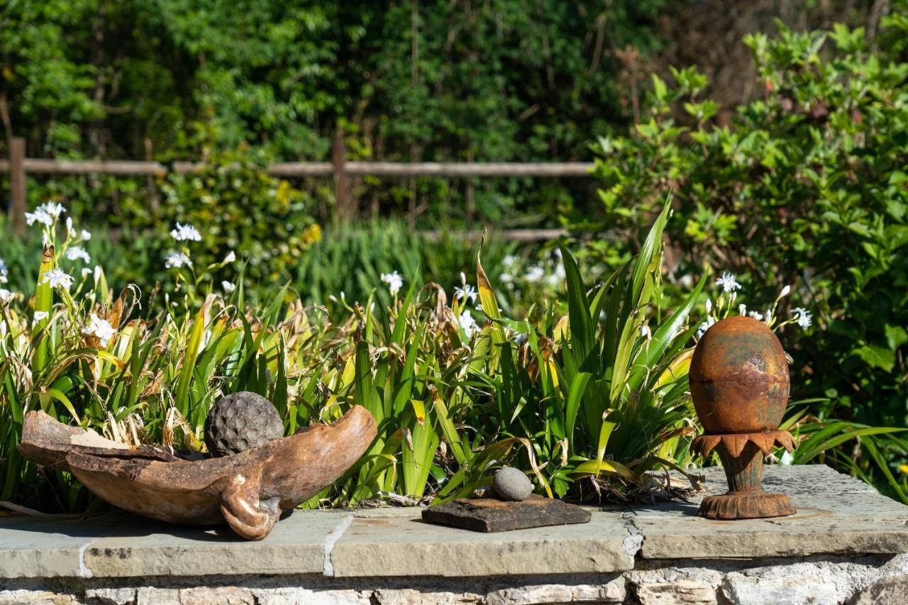 Villa Fenice - Elegant Country House Borgo a Mozzano Bagian luar foto